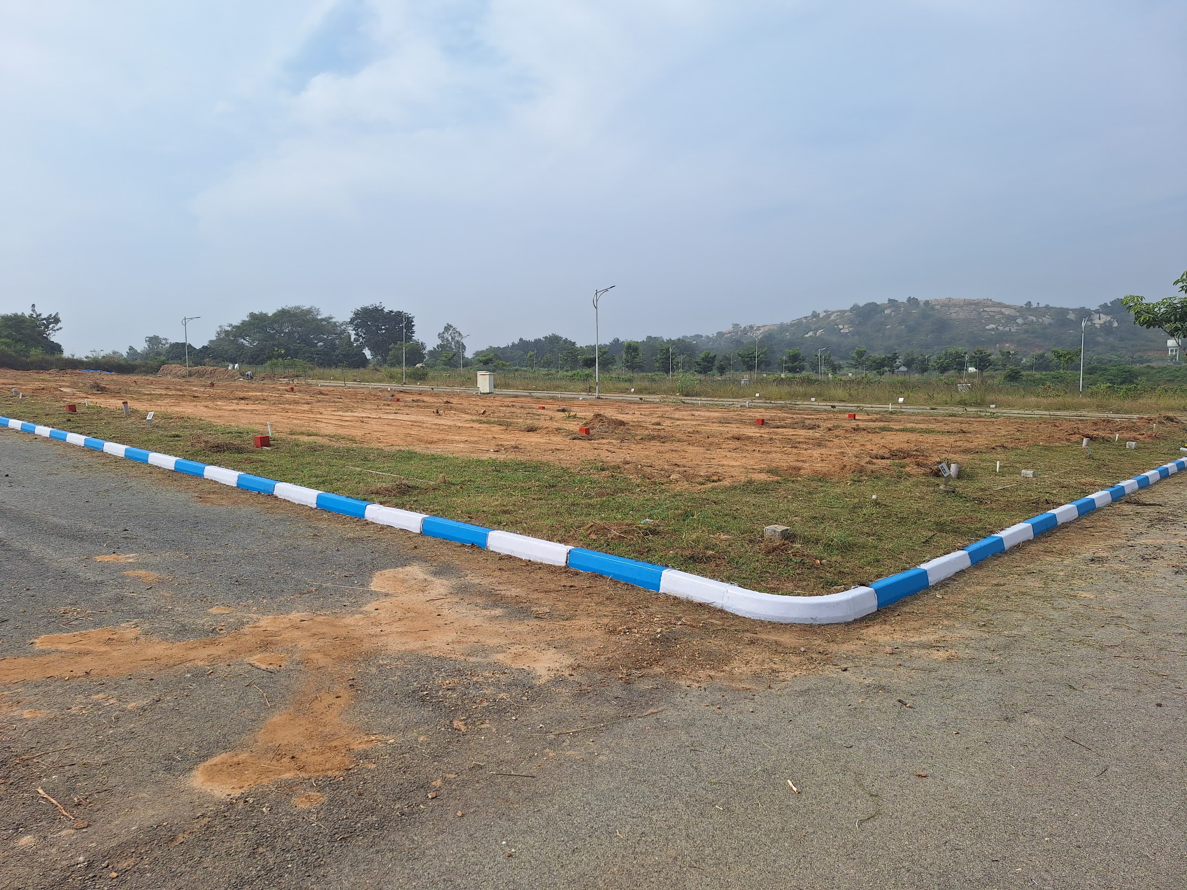 Plot For Sale in Dodda Aalada Mara Road