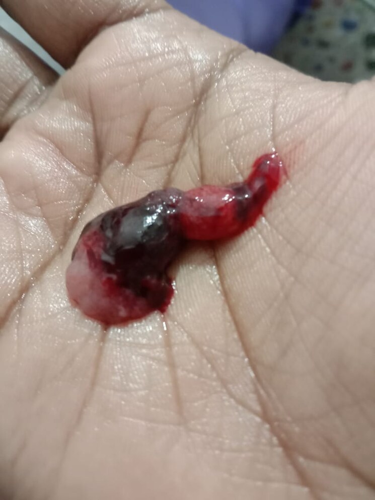 Master Bedroom, ashram 2.5 Bedroom 70 Sq.Yd. Builder Floor In Ashram Delhi 7898366