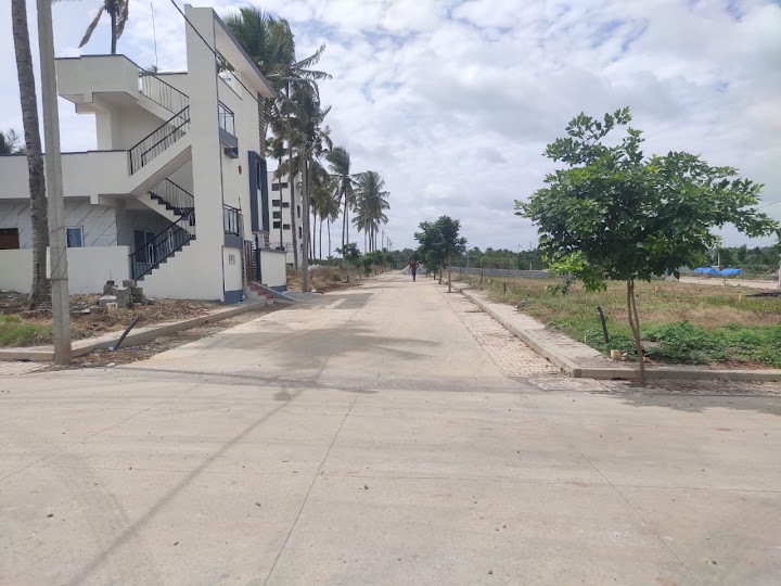 Plot For Sale in Dodda Aalada Mara Road