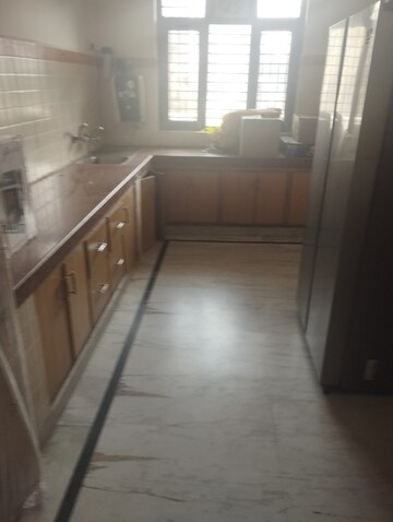 Kitchen in 2 BHK Builder Floor at Ansal Plaza Sector-23, Sector 23 – for Rent