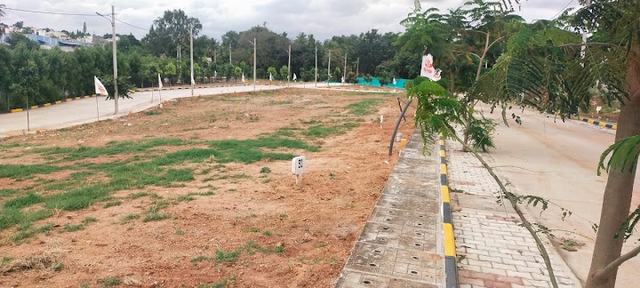 Plot For Sale in Dodda Aalada Mara Road