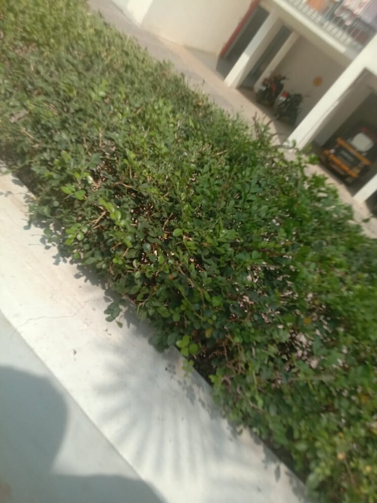 Balcony, godrej-vihaa 1 Bedroom 468 Sq.Ft. Apartment In Badlapur East Thane 7898799