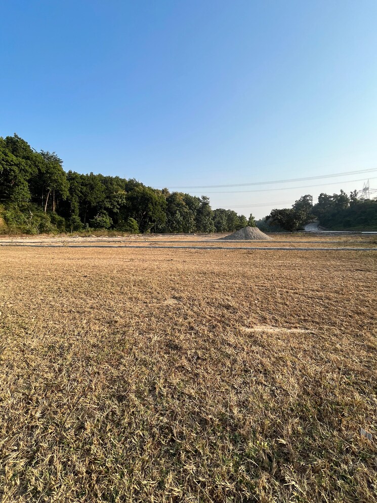 undefined, jolly grant  100 Sq.Yd. Plot In Jolly Grant Dehradun 7898968