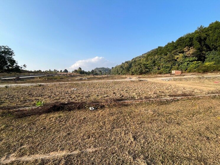 undefined, jolly grant  100 Sq.Yd. Plot In Jolly Grant Dehradun 7898968