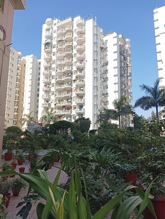 2 BHK Apartment For Resale in Maple Heights Sector 43 Gurgaon  7898949