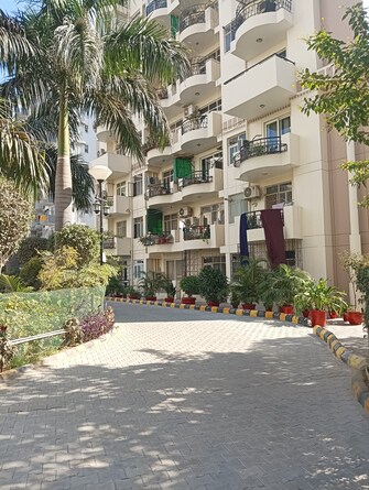 2 BHK Apartment For Resale in Maple Heights Sector 43 Gurgaon  7898949