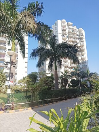 2 BHK Apartment For Resale in Maple Heights Sector 43 Gurgaon  7898949