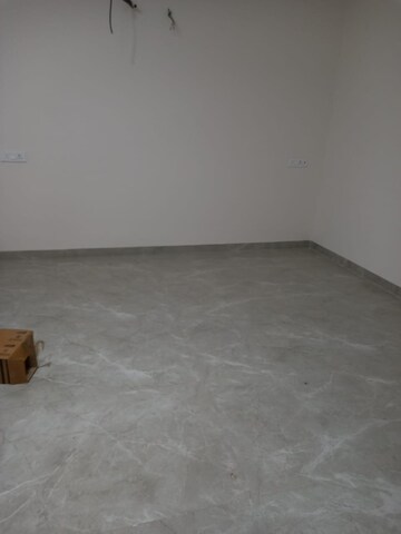 3 BHK Builder Floor For Rent in Sector 40