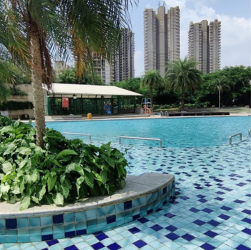 Swimming Pool in 3 BHK Apartment at ATS Marigold, Sector 89b – for Rent