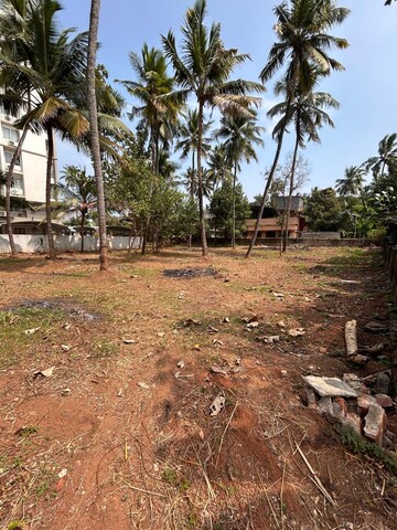 Plot Area in  Plot at Nellikkadu – for Sale