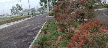  Plot – Exterior View View at Baberpur Mandi - for Sale