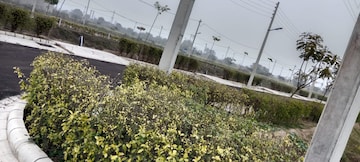 Plot Area in  Plot at Baberpur Mandi – for Sale