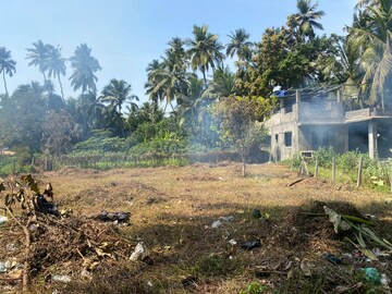 Plot Area in  Plot at Alibag – for Sale