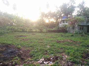 Plot Area in  Plot at Alibag – for Sale