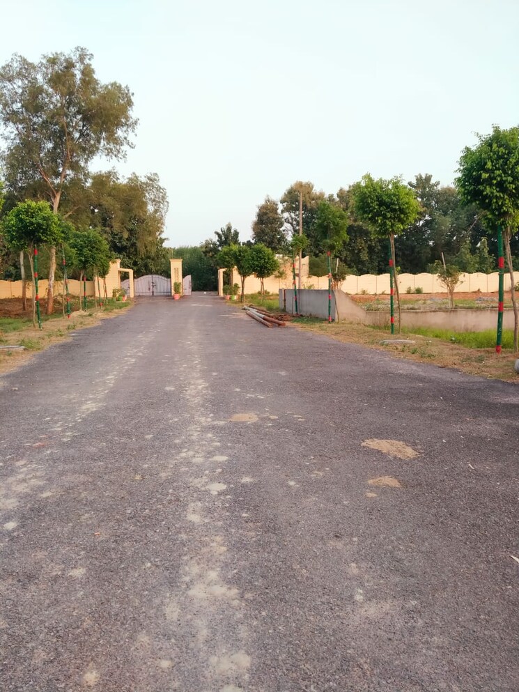 Exterior View, dewa  1000 Sq.Ft. Plot In Dewa Barabanki 7899276