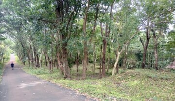 Plot For Resale in Chakkarakal Kannur  7899384