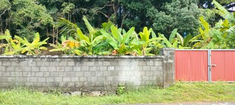 Plot For Resale in Viyyur Thrissur  7899409