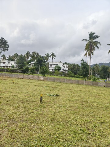 Plot For Resale in Railway Colony Palakkad  7899673