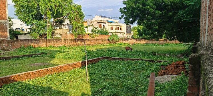 Garden, jankipuram  1000 Sq.Ft. Plot In Jankipuram Lucknow 7899767