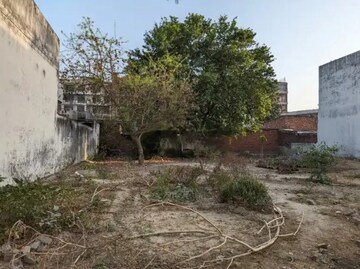 Plot Area in  Plot at Daurli – for Sale