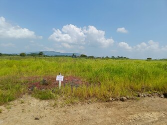 Plot For Resale in Vadgaon Maval Pune  7900261