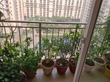 Balcony in 4 BHK Apartment at ATS Triumph, Sector 104 – for Rent