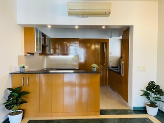 3 BHK Apartment For Rent in Tata Primanti-Tower Residences Sector 72 Gurgaon  7900521