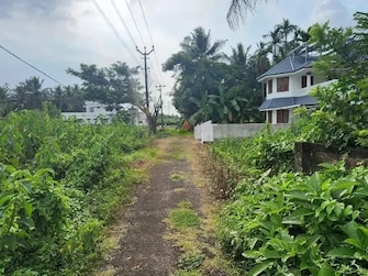 Plot For Resale in Nellankara Thrissur  7900627