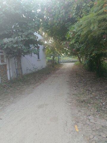 Plot Area in  Plot at Lalbagh – for Sale