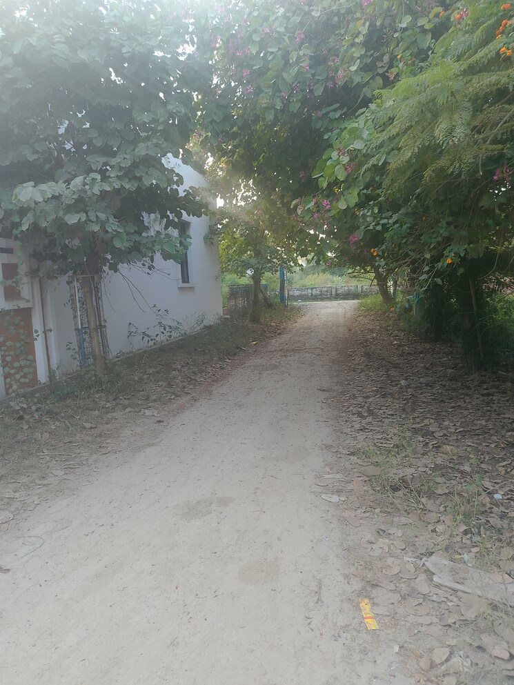 undefined, lalbagh  1650 Sq.Ft. Plot In Lalbagh Lucknow 7900714