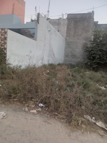 Plot For Resale in Sector 56 Faridabad  7900788