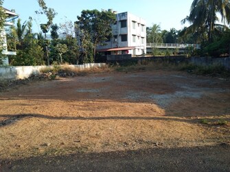 Plot For Resale in Velappaya Thrissur  7900863