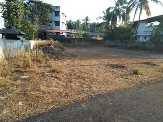 Plot For Resale in Velappaya Thrissur  7900863