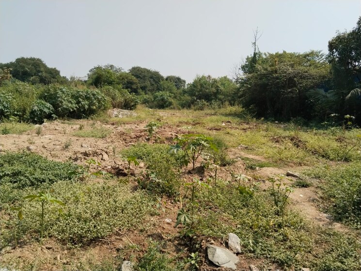 undefined, kavesar  1099 Sq.Ft. Plot In Kavesar Thane 7900935