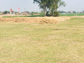 Plot For Resale in Sector 92 Mohali  7900963