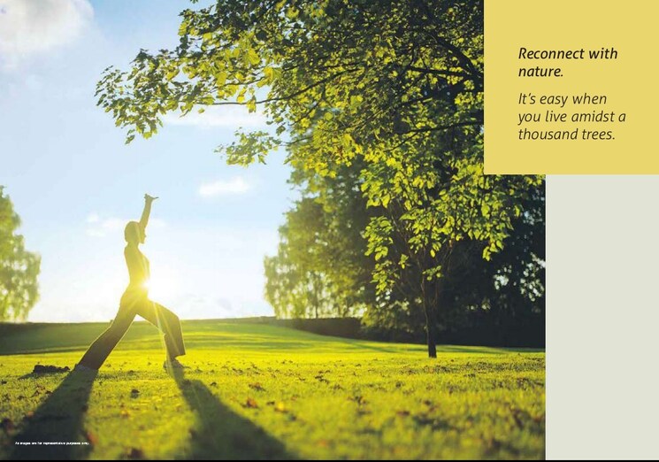 Garden, tata-la-vida 3 Bedroom 1579 Sq.Ft. Apartment In Sector 113 Gurgaon 7901052