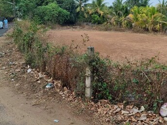 Plot For Resale in Kuttanellur Thrissur  7901053