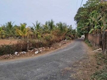  Plot – Exterior View View at Kuttanellur - for Sale