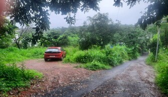 Plot For Resale in Muzhappilangad Kannur  7901099