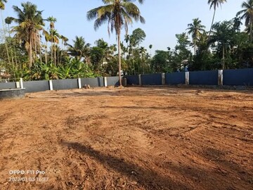 Plot For Resale in Vellangallur Thrissur  7901131