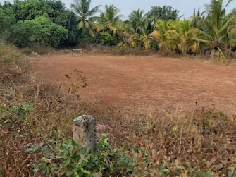 Plot For Resale in Irinjalakuda Thrissur  7901159