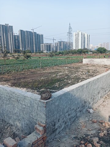 Plot Area in  Plot at Oneiric Pacific Residency, Sector 81 – for Sale