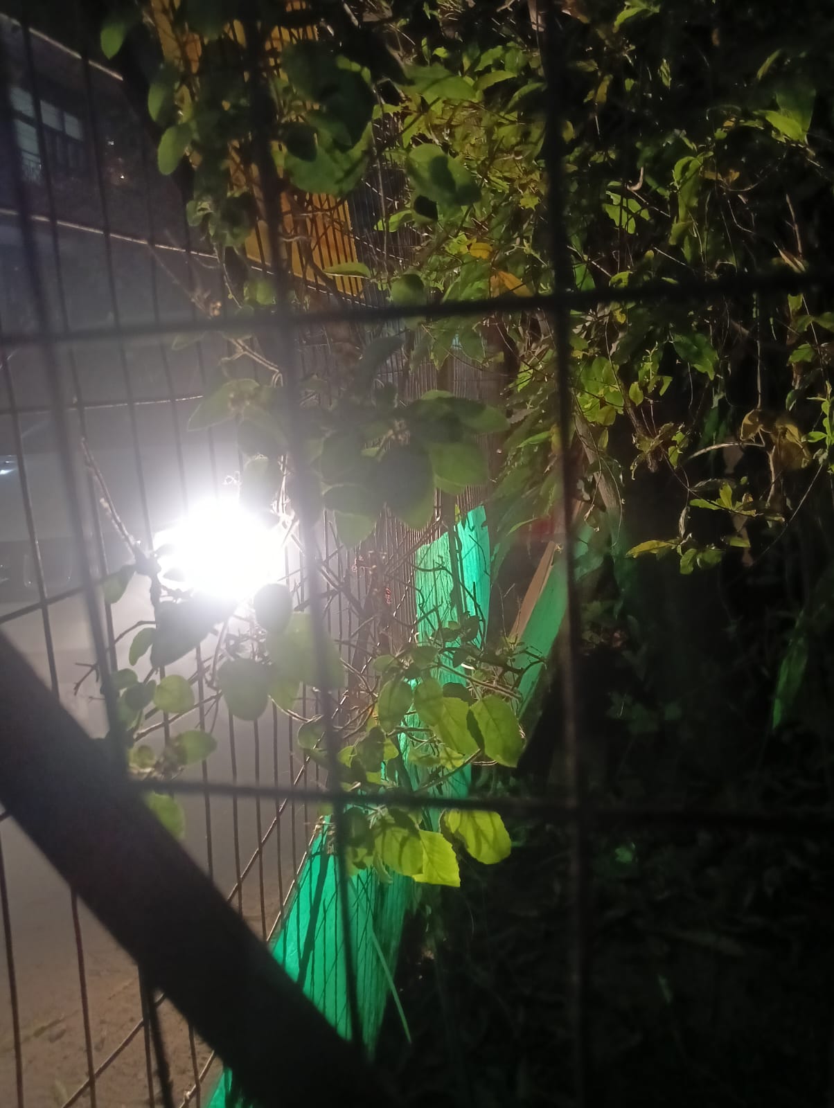 Plot For Sale in Sector 21D