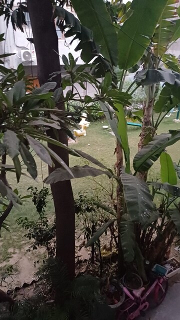 1 BHK Apartment – Garden View at Paschim Vihar - for Rent