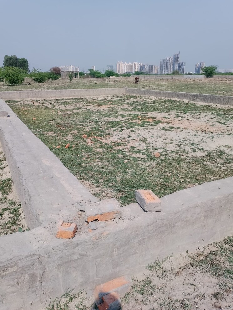undefined, sector 150  72 Sq.Yd. Plot In Sector 150 Noida 7901352