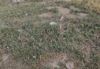 Plot For Sale in Sector 89