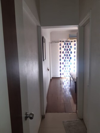 3 BHK Apartment For Rent in Pathardi Phata Nashik  7901646