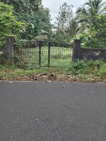 Plot For Resale in Chandor Goa  7901757