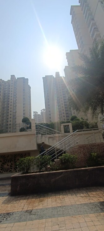 3 BHK Apartment For Rent in Civitech Stadia Sector 79 Noida  7901769