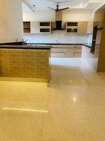 3.5 BHK Builder Floor For Rent in Sector 16 Faridabad  7901783